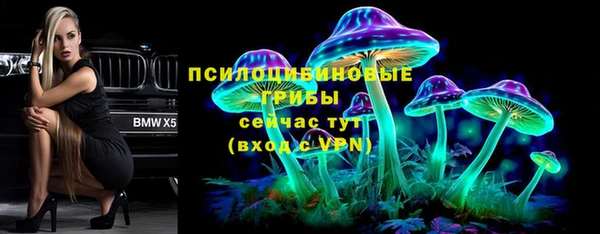 амф Белокуриха