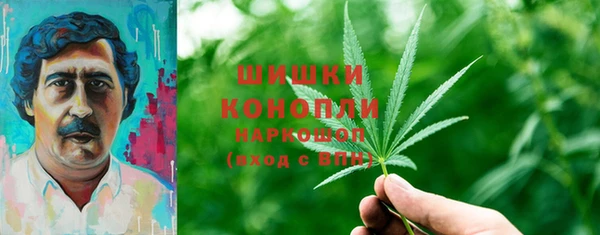 кокс Бородино