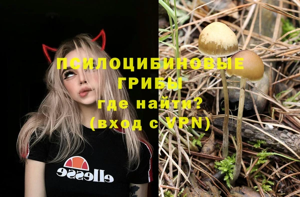 ALPHA-PVP Верхний Тагил