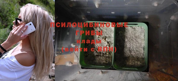 мескалин Верея